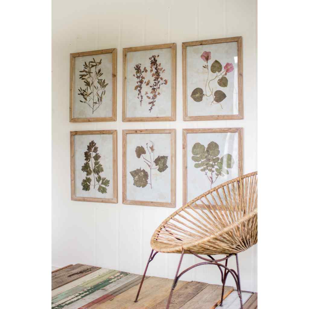 Set Of Six Leaf Prints Under Glass Brown