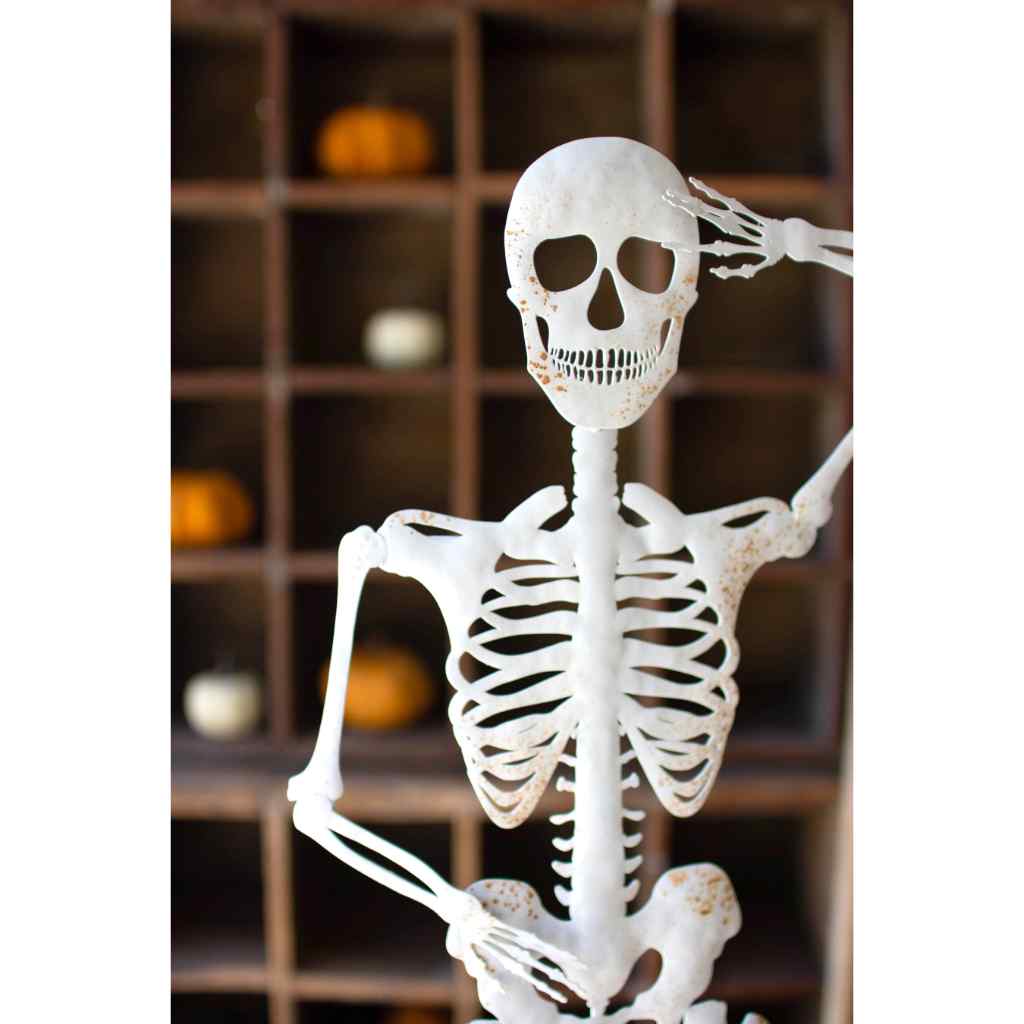 Rustic White Metal Skeleton On A Stand White