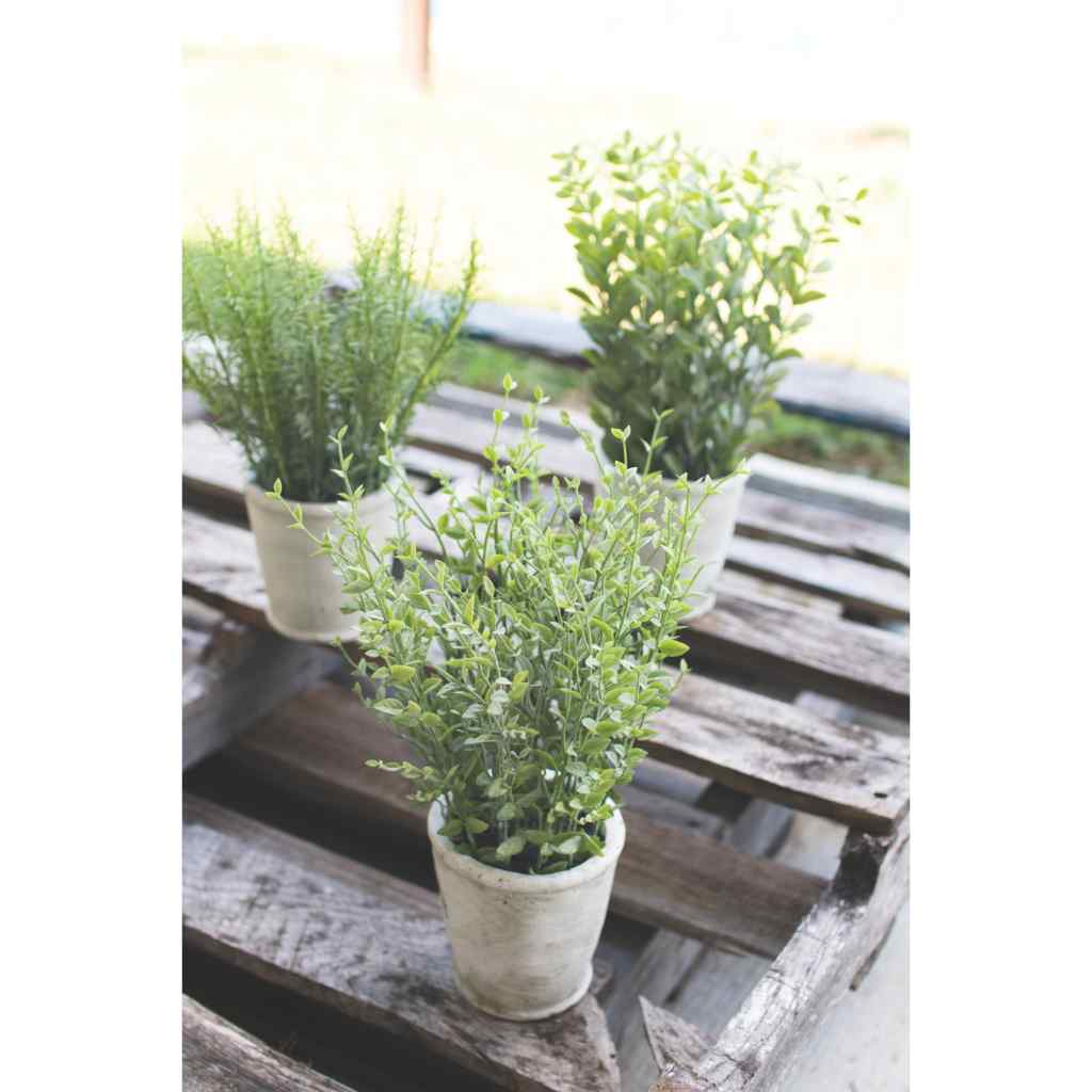 Set Of Three Artifial Herbs In Cement Pots Green