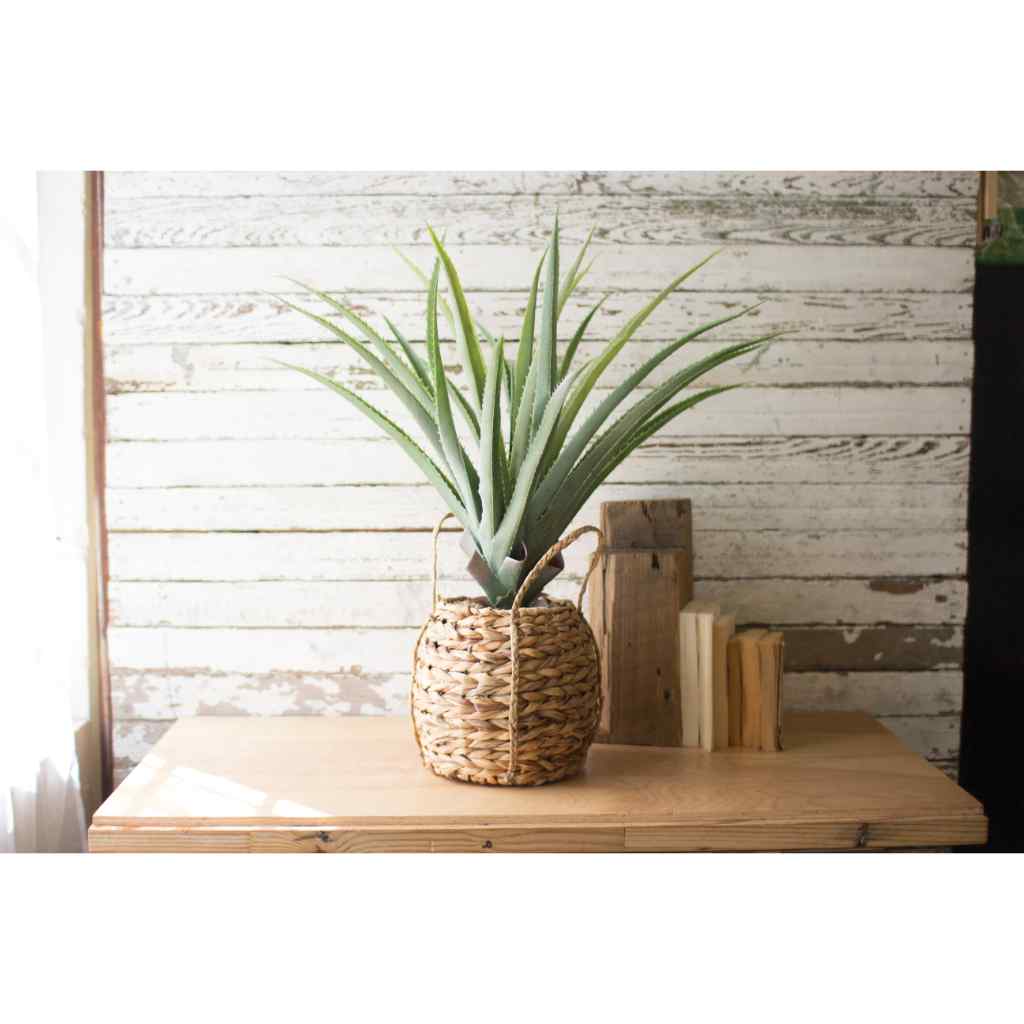 Artificial Aloe In A Woven Seagrass Pot Green