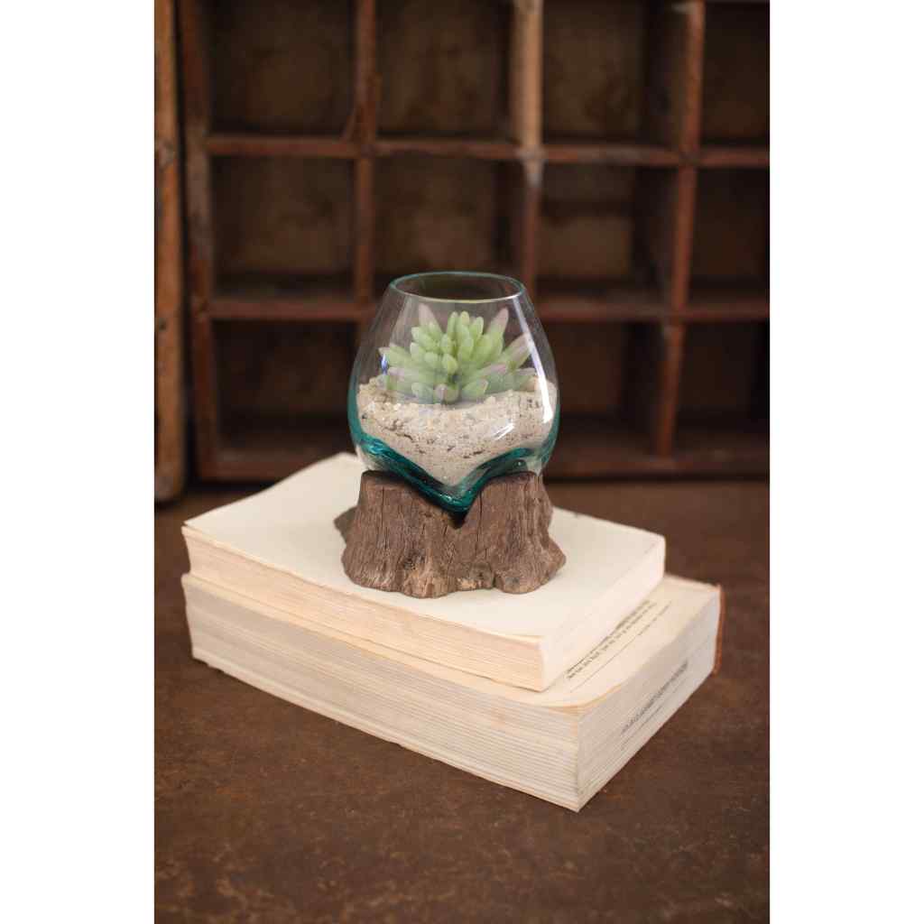 Blown Glass Bowl On Driftwood Base - Small BROWN