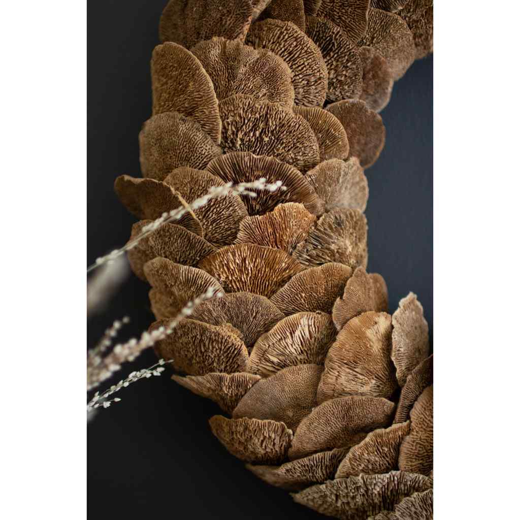 Sponge Mushroom Wreath Brown