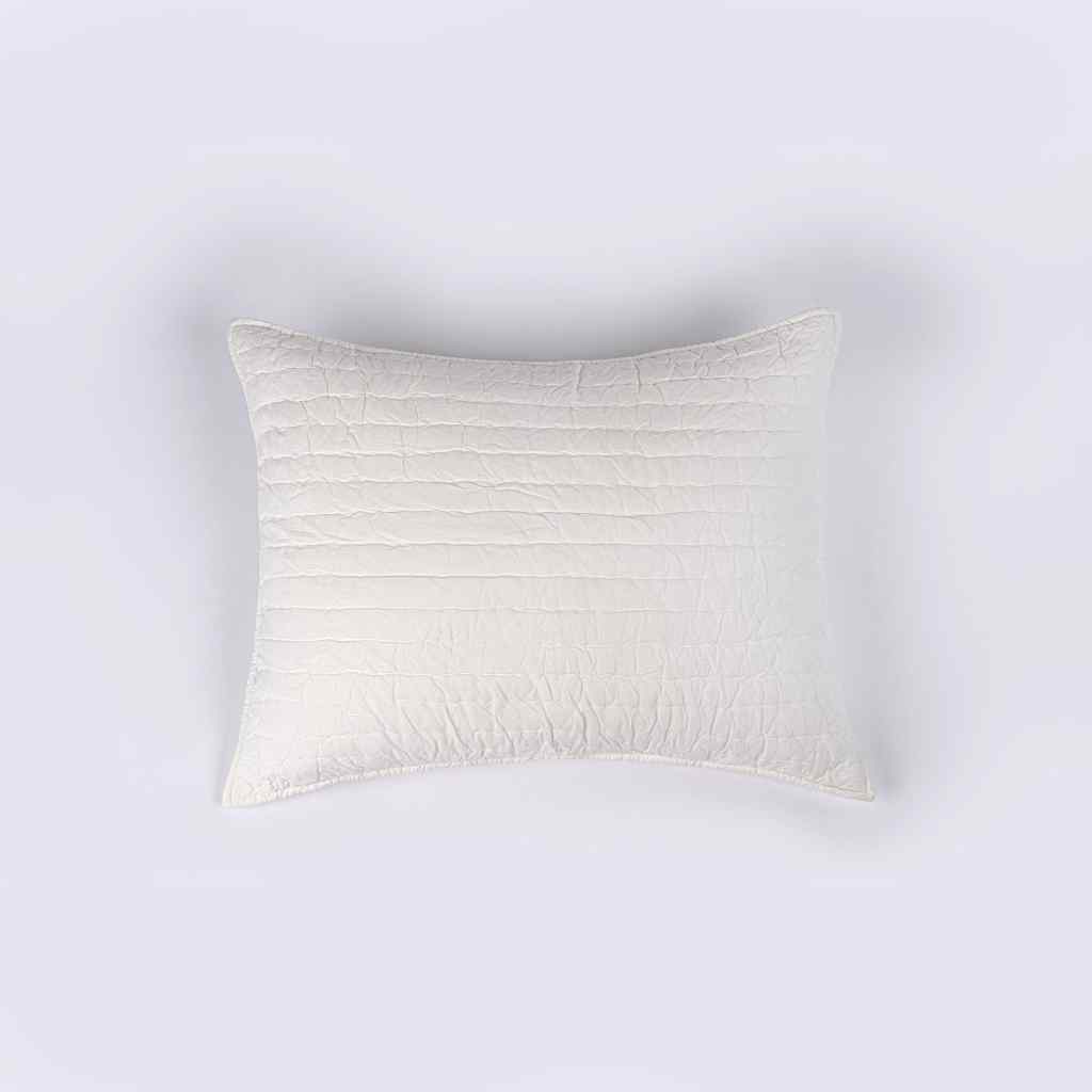 Base Camp Sham Ivory / Standard