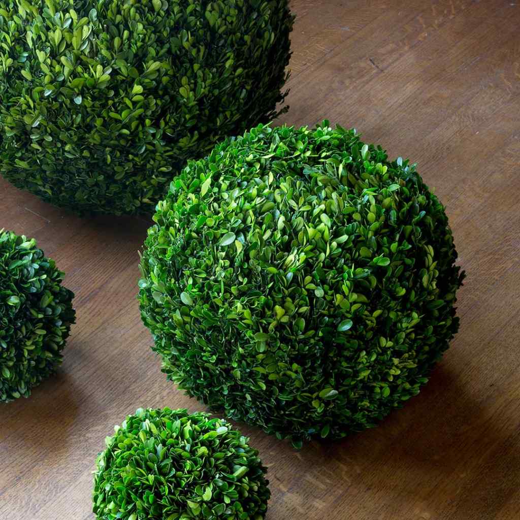 Preserved Boxwood Ball, 16" White