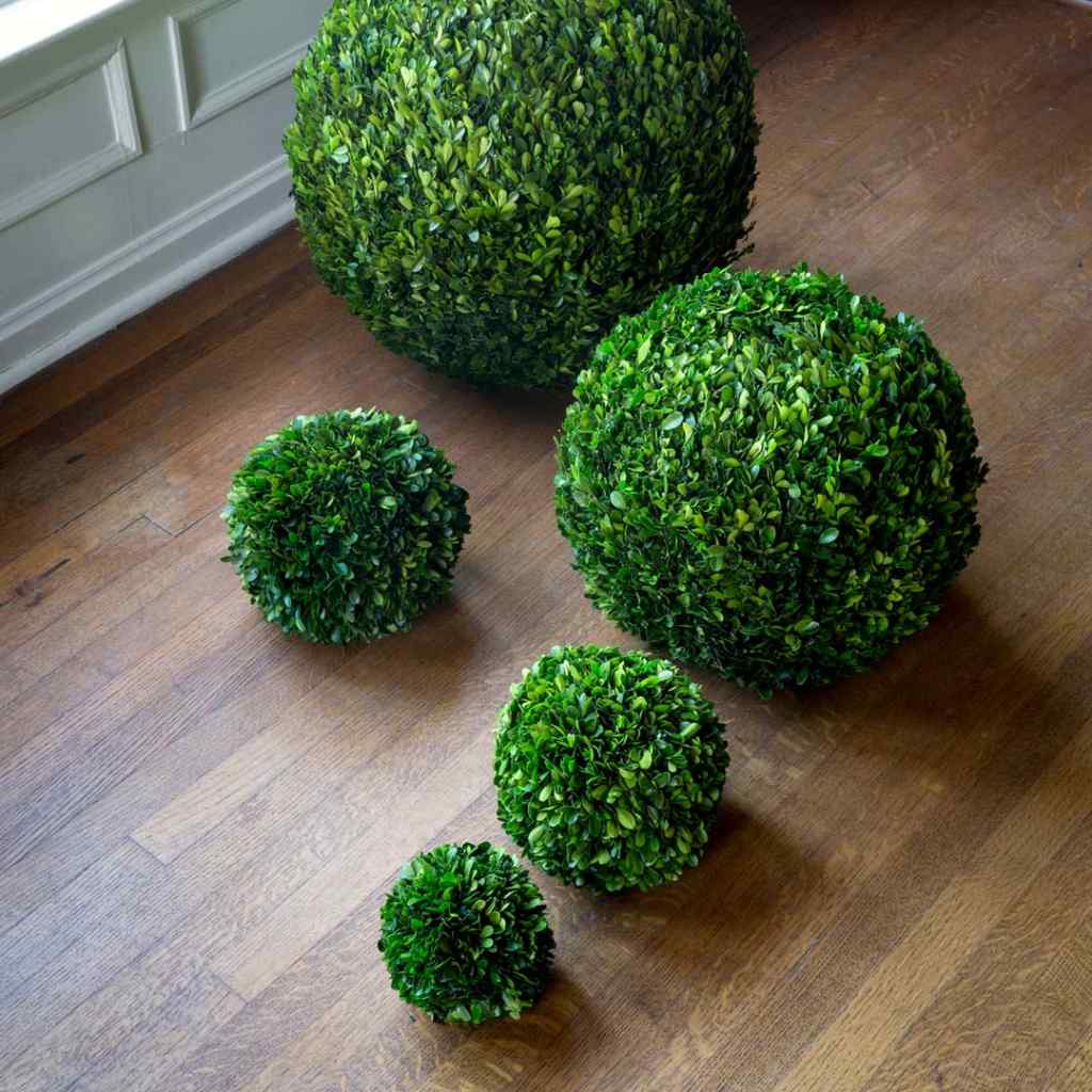 Preserved Boxwood Ball, 16" White