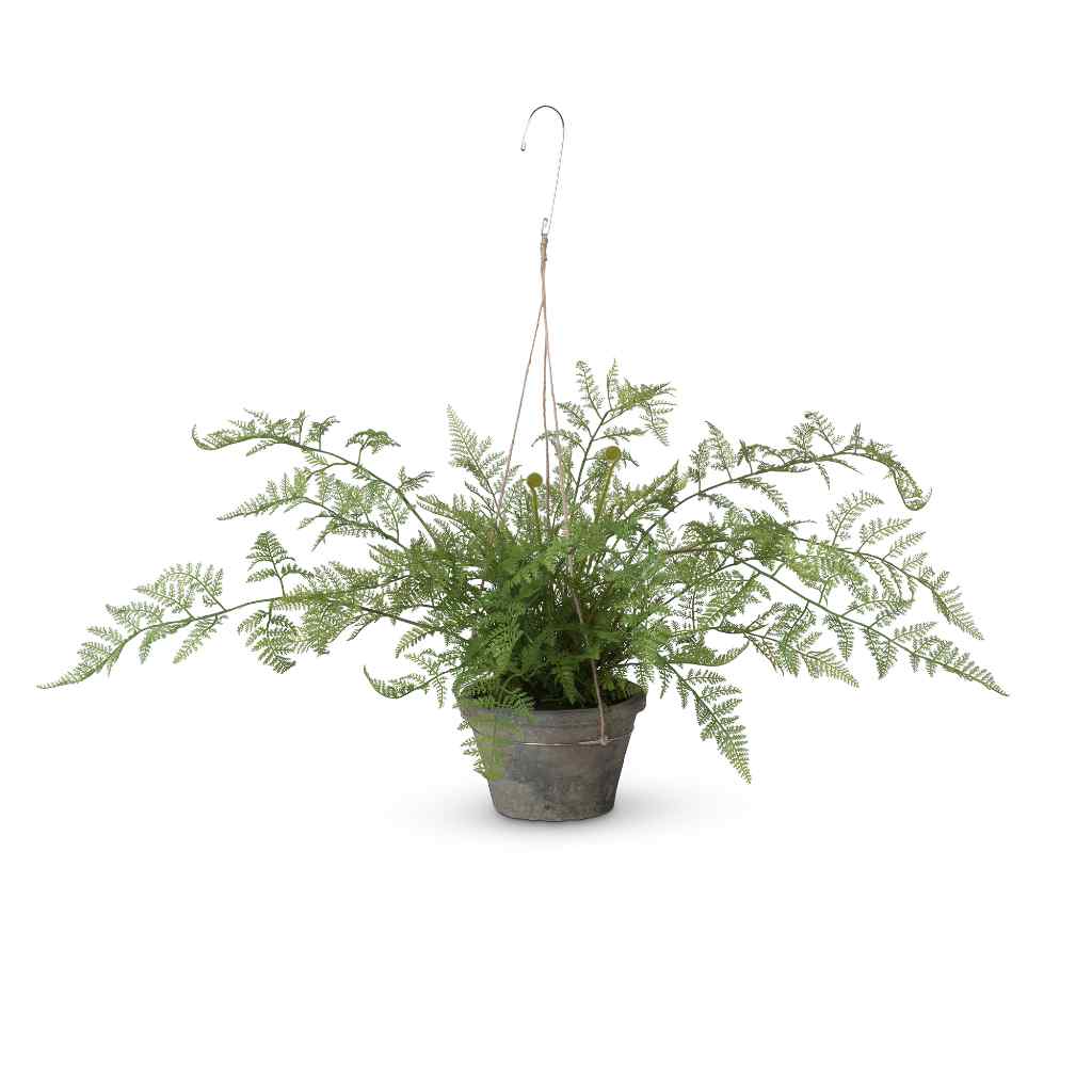 Potted Hanging Fern, Large Green