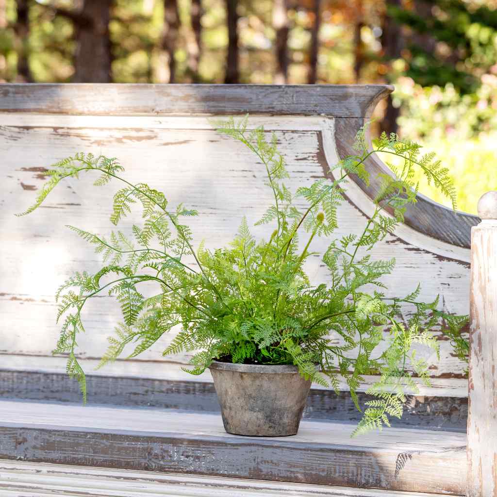 Potted Hanging Fern, Large Green