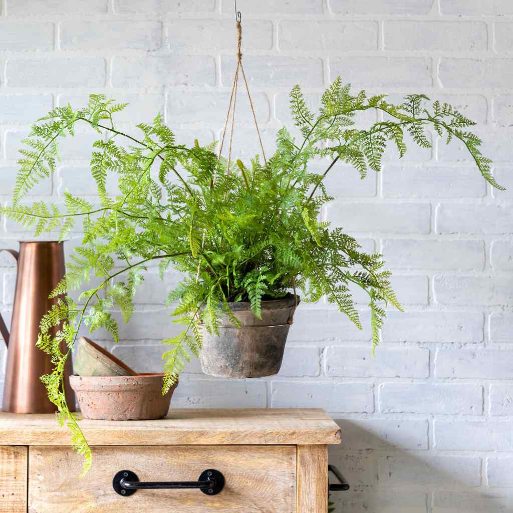 Potted Hanging Fern, Large Green