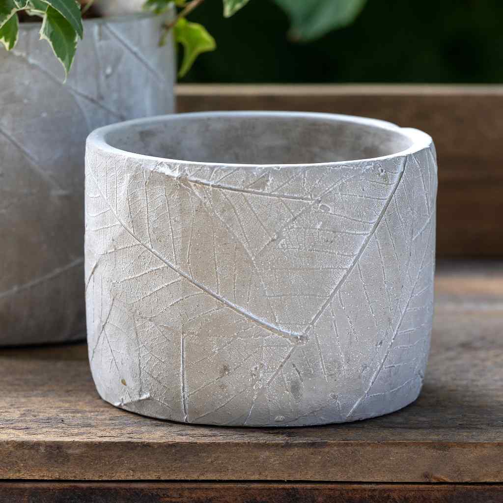 Leaf Embossed Cement Pot, Medium Gray