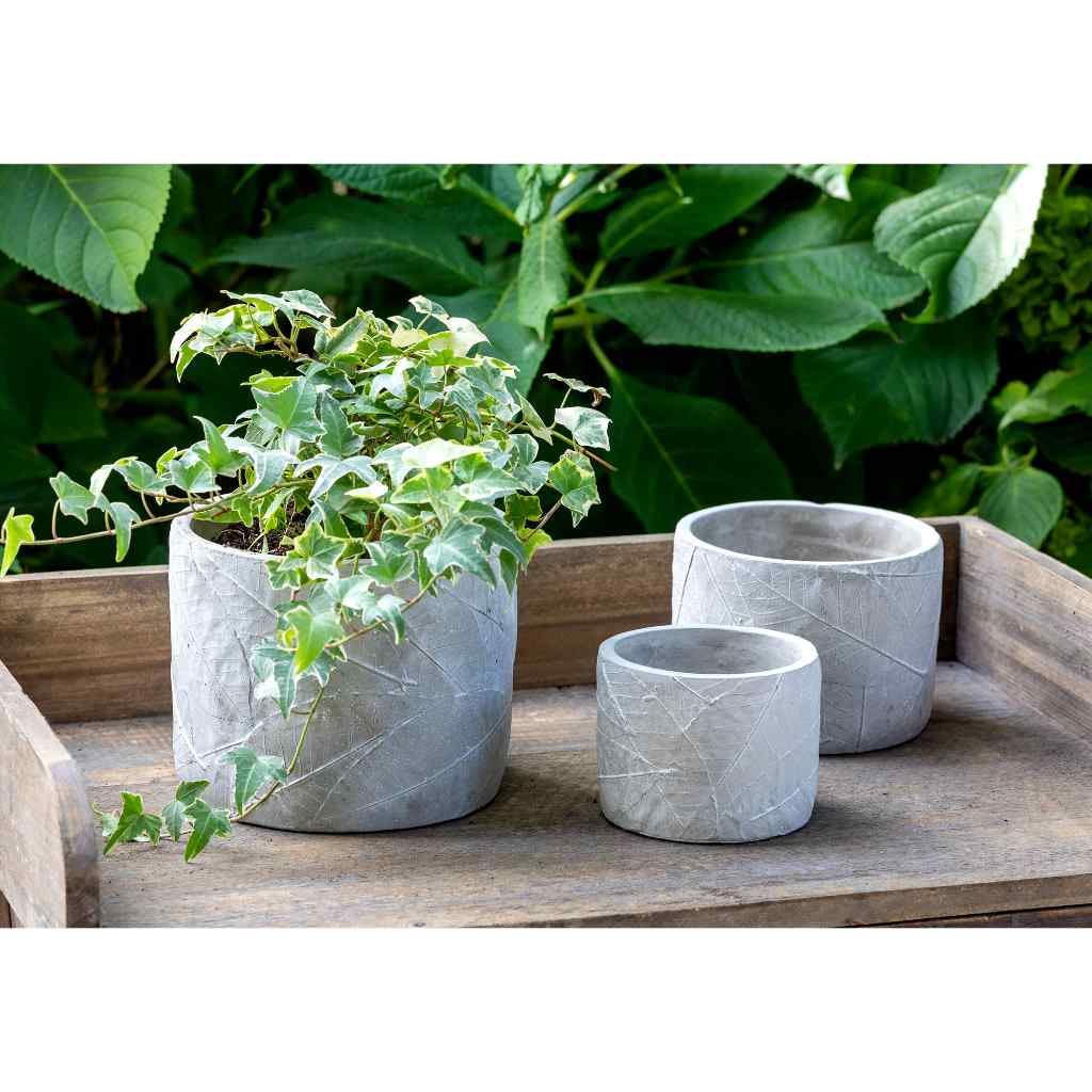 Leaf Embossed Cement Pot, Medium Gray
