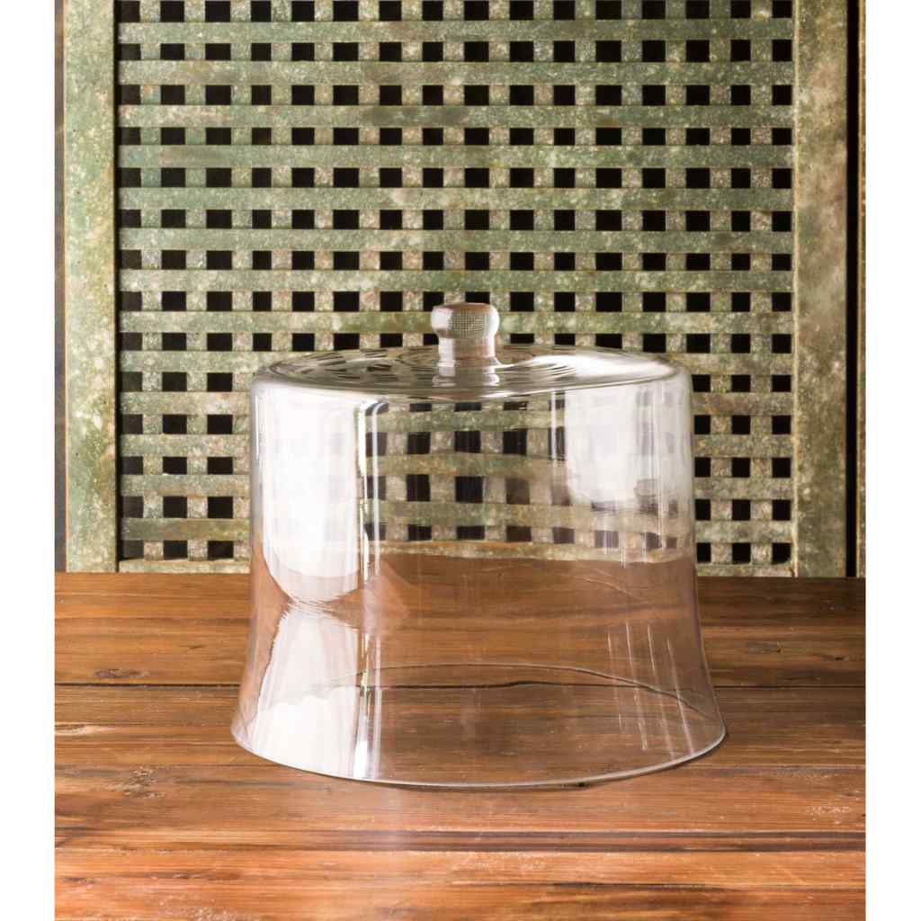 Estate Glass Cloche Clear