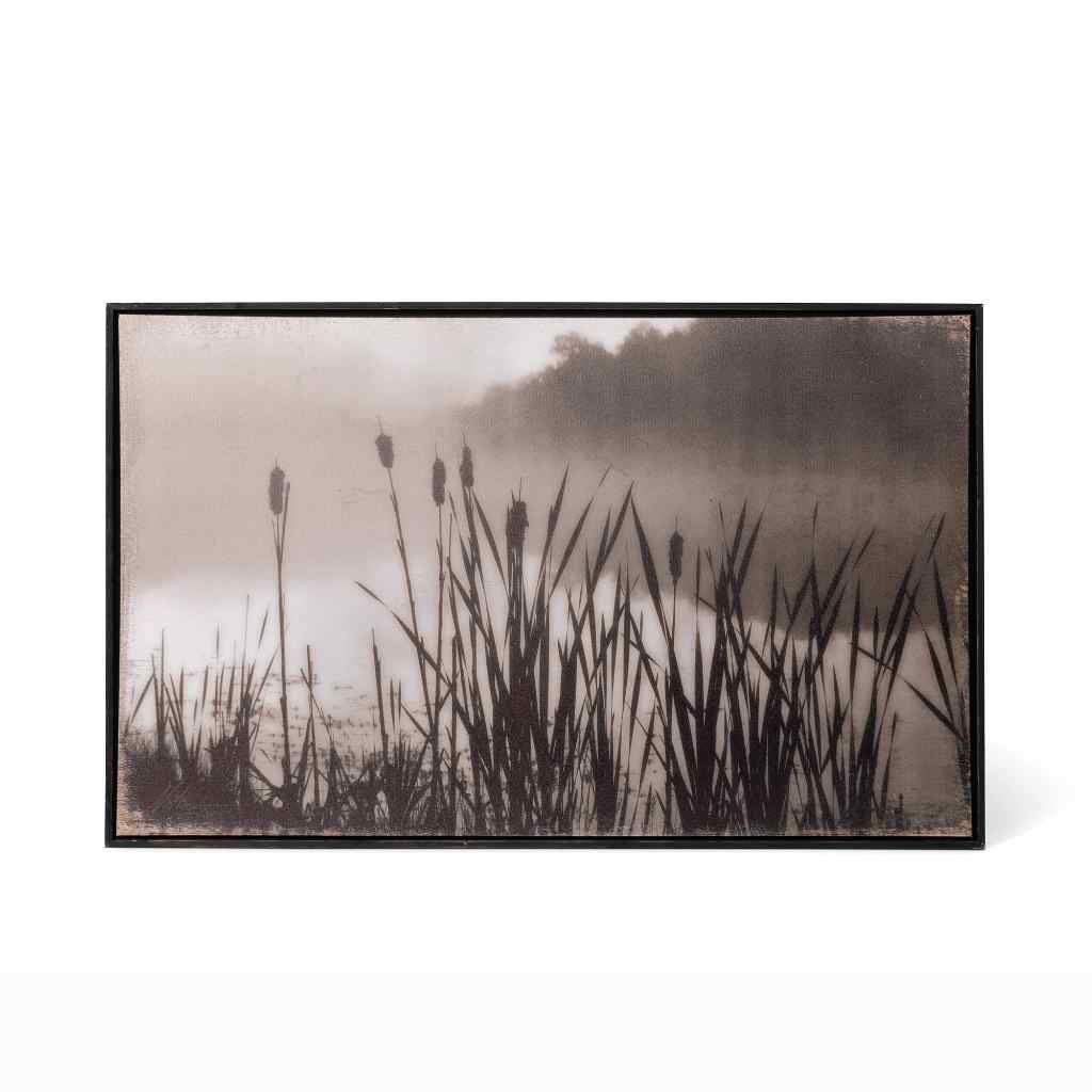 Framed Cattail Print Black