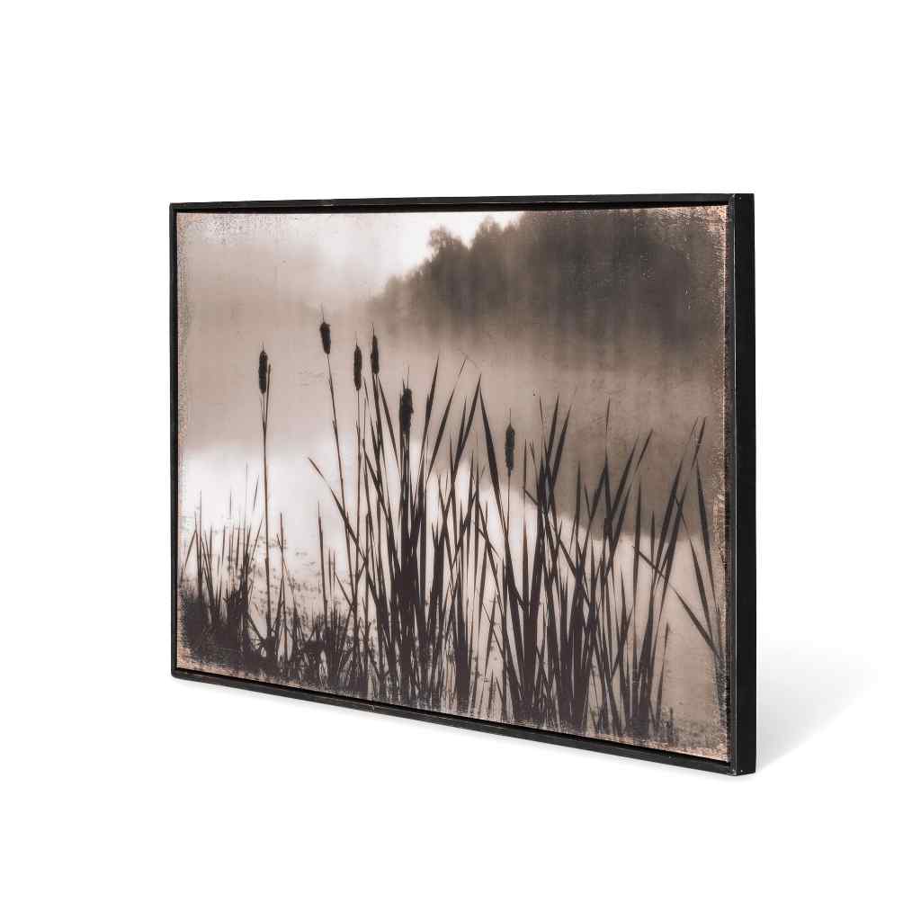 Framed Cattail Print Black