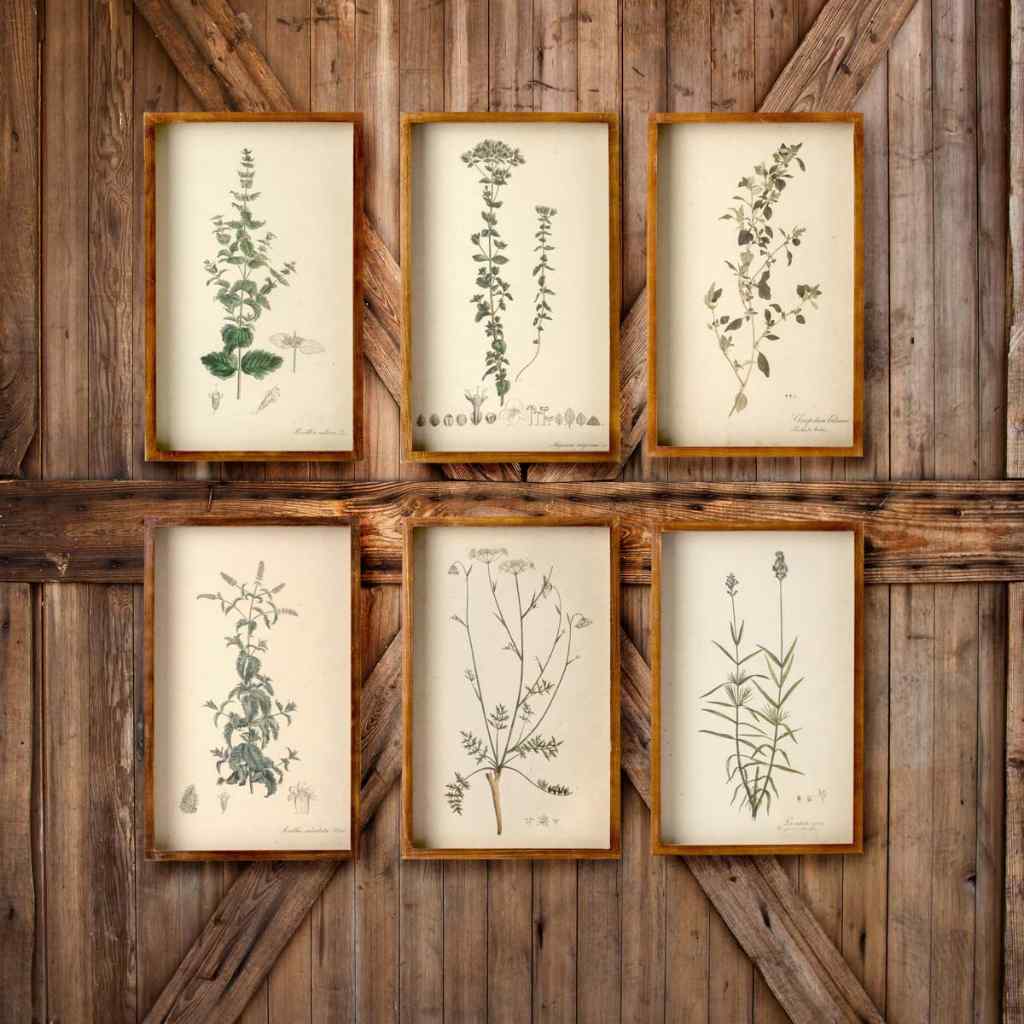 Collected Botanical Framed Prints, Set of 6 Brown