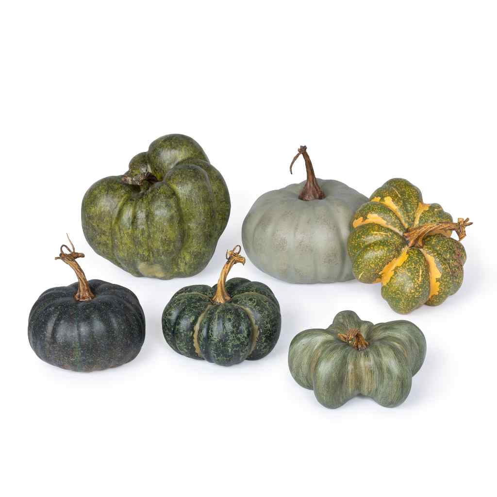 Green Heirloom Pumpkin Collection, Set of 6, Assorted Styles Green 