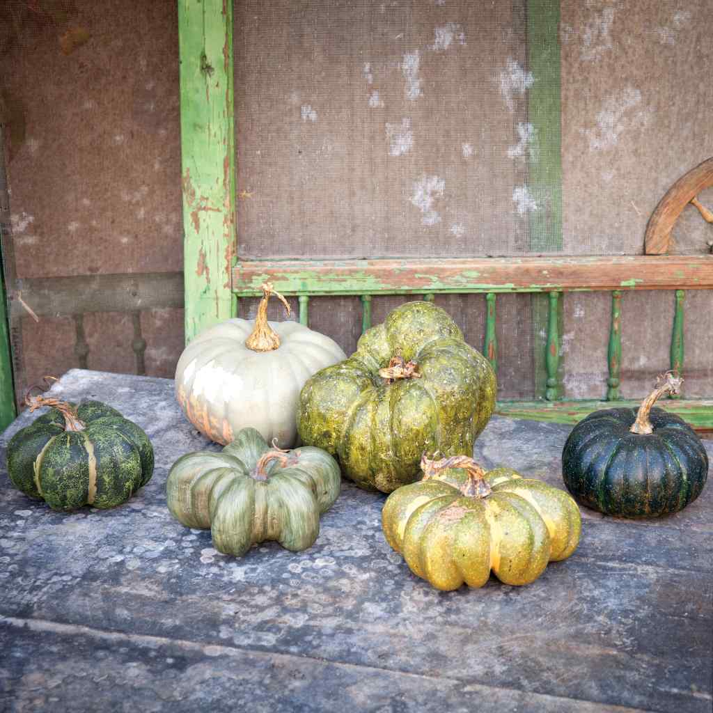 Green Heirloom Pumpkin Collection, Set of 6, Assorted Styles Green 