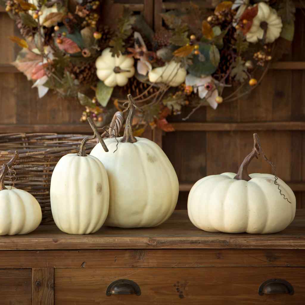 Full Moon Pumpkin Collection, Set of 5 White