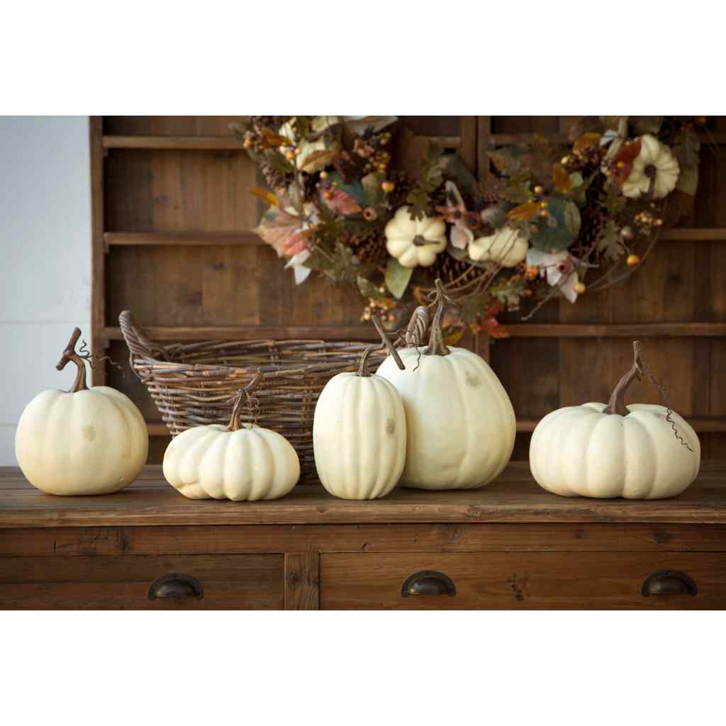 Full Moon Pumpkin Collection, Set of 5 White