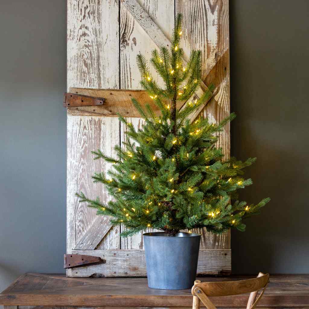 Potted Porch Fir Tree, Lighted Green