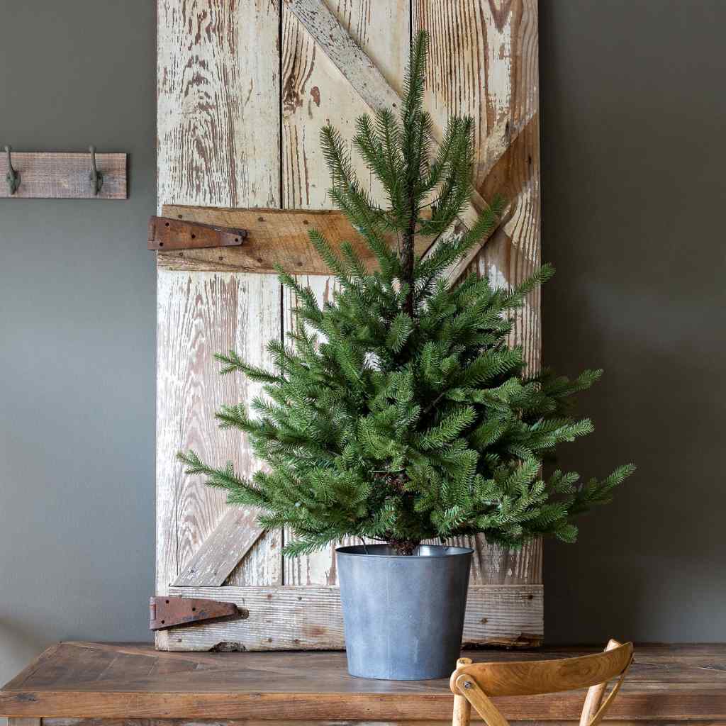 Potted Porch Fir Tree, Lighted Green